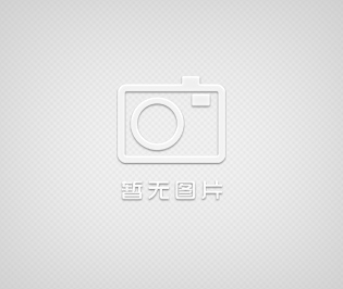 Model 191D中高量程型三维磁通门计